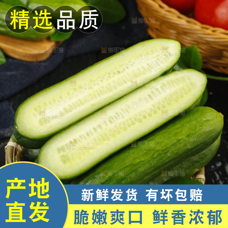 一筐新鲜的荷兰小青瓜放在黑底上