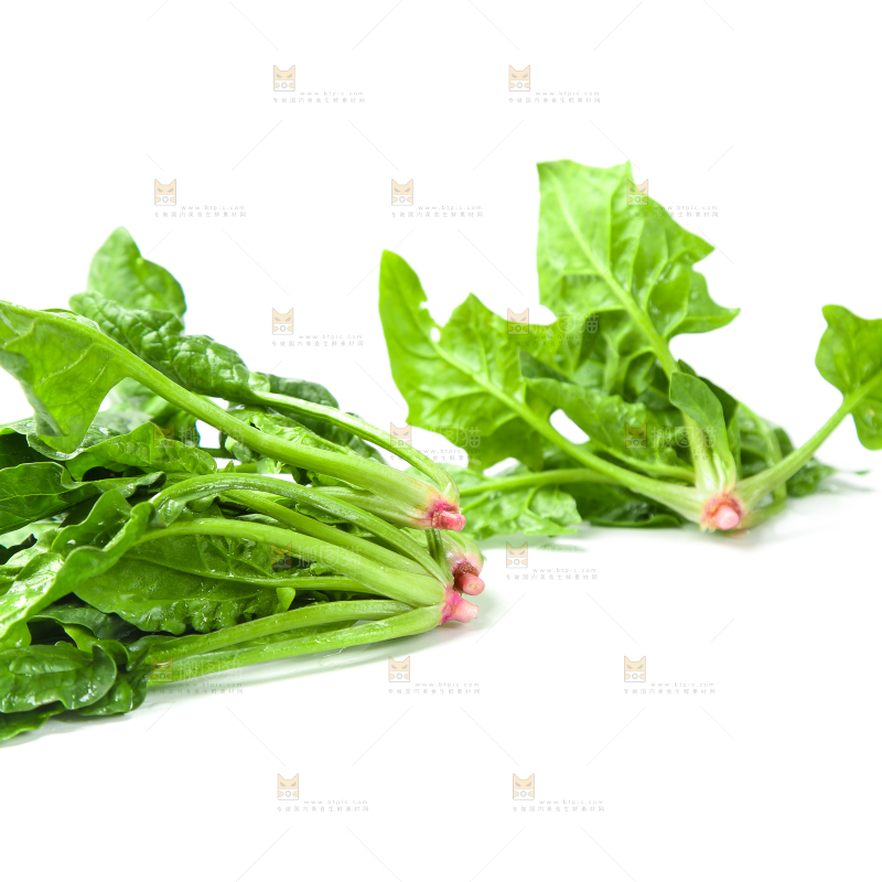 白底上放着新鲜菠菜