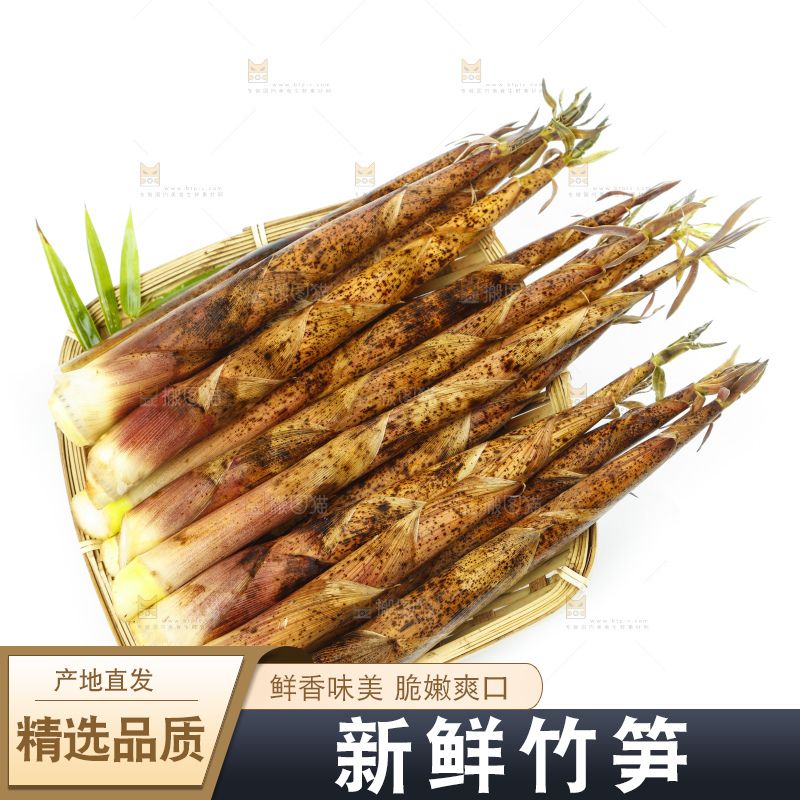 竹篮里面放着竹笋
