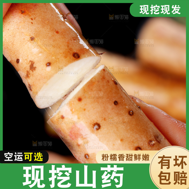 手里拿着小白嘴山药
