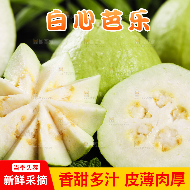 黑石底上放着白心芭乐