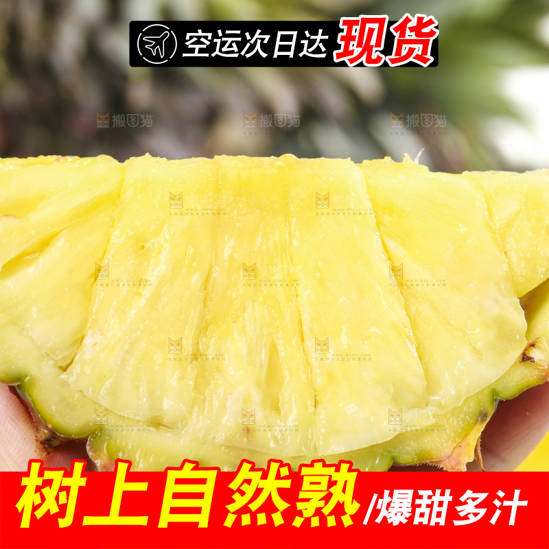 手拿切开的海南金钻凤梨