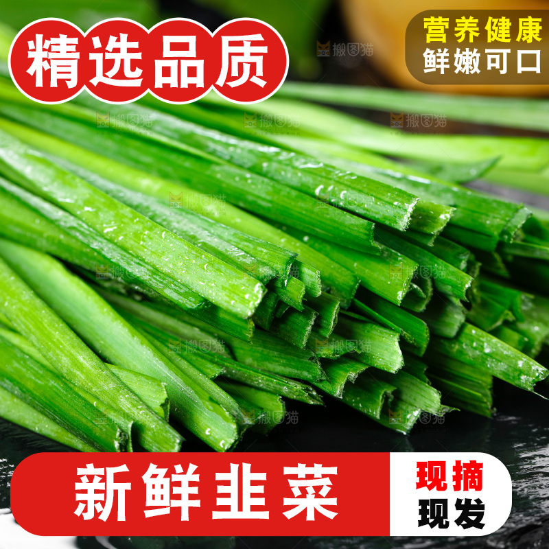 黑石板上的韭菜