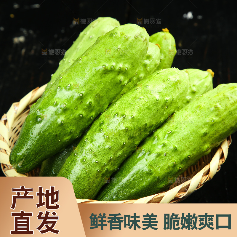 篮子里的土黄瓜