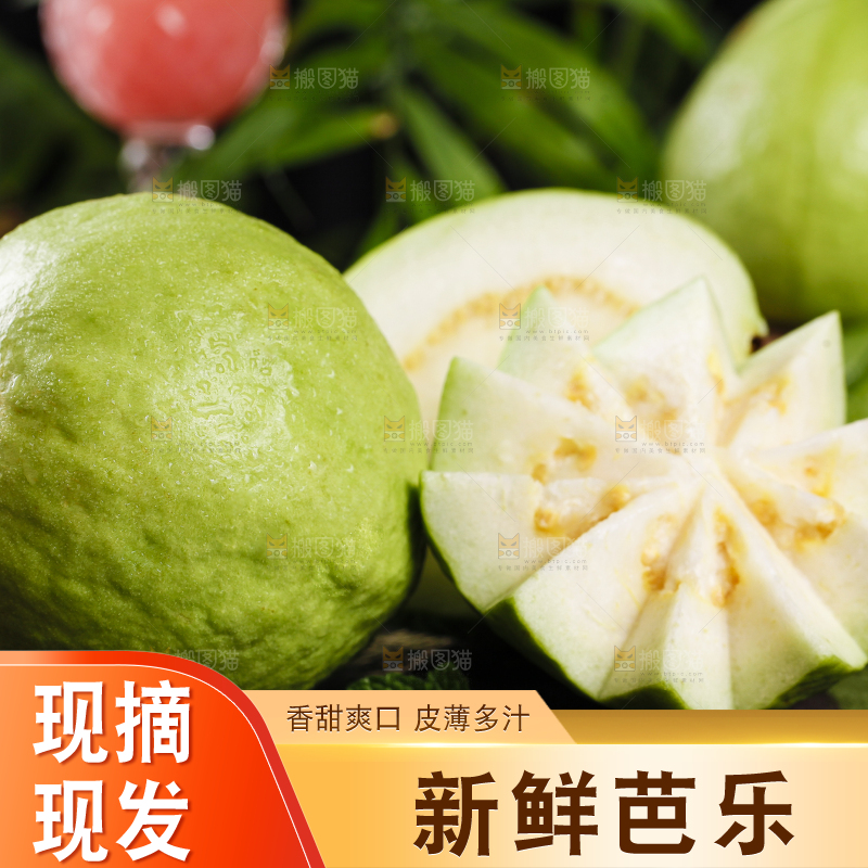 黑底上的番石榴