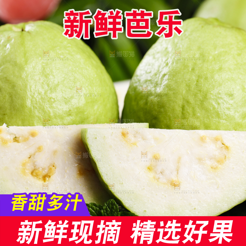 黑底上的广西白心芭乐