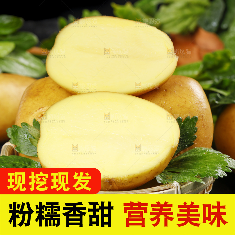 篮子里放着土豆