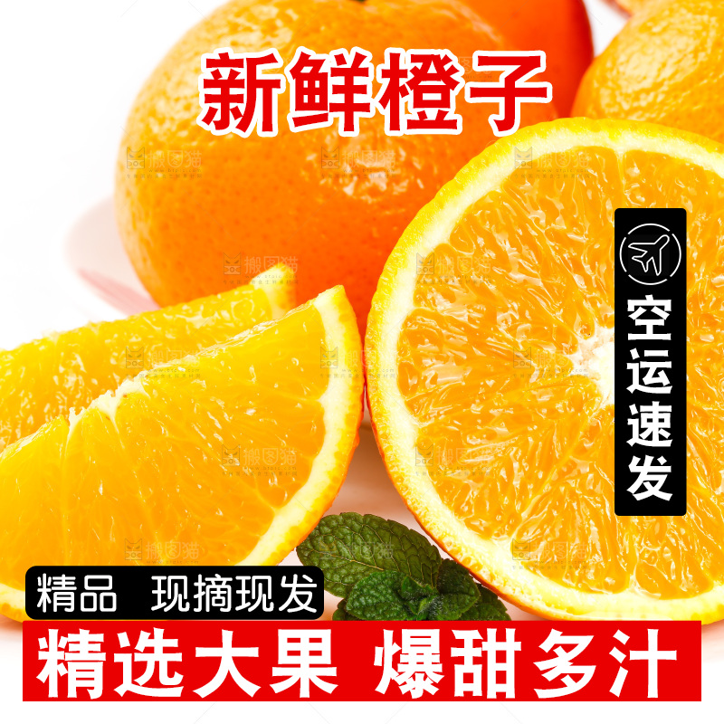 白底上放着新鲜橙子