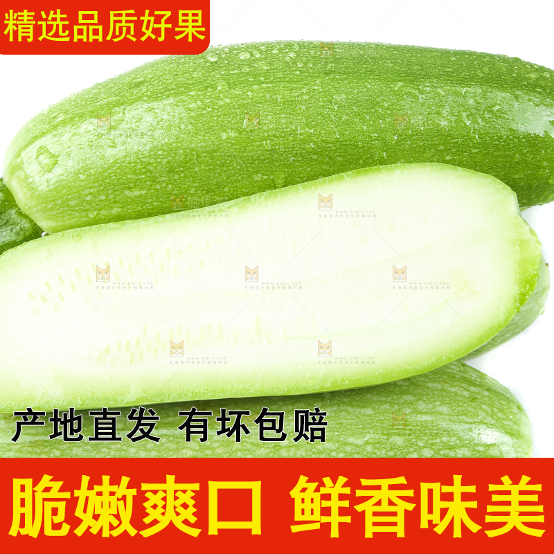 白底上摆放着茭瓜