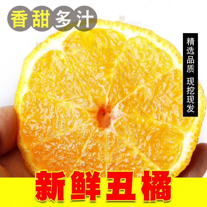 手拿切开的新鲜丑橘