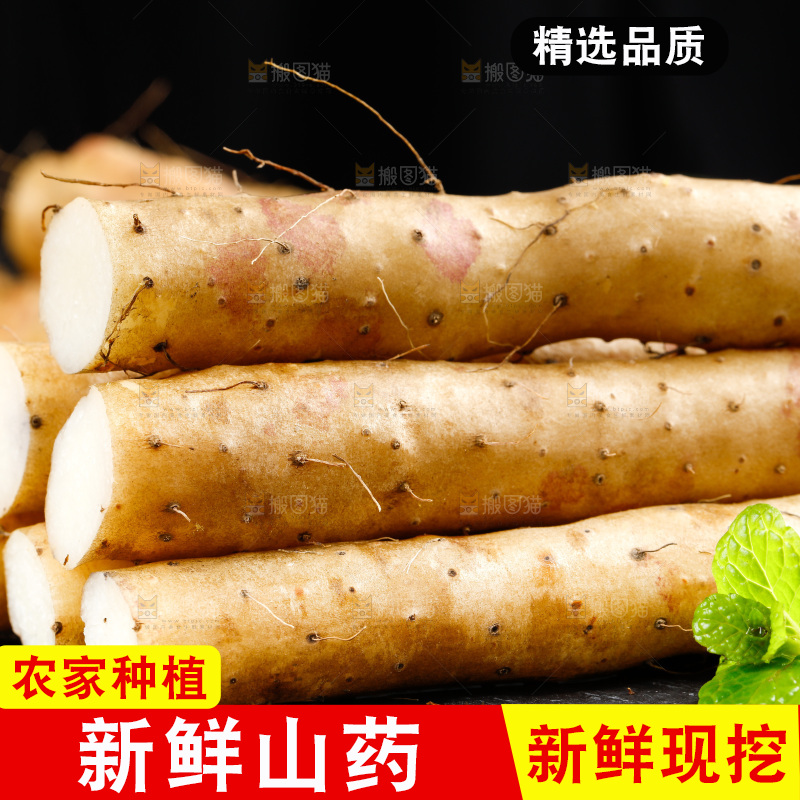 深底上摆放着铁棍山药