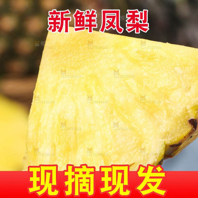 手拿切开的海南金钻凤梨