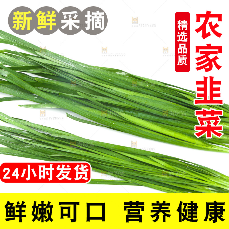 白底上的一把韭菜