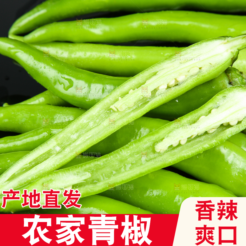 黑底上放着青尖椒
