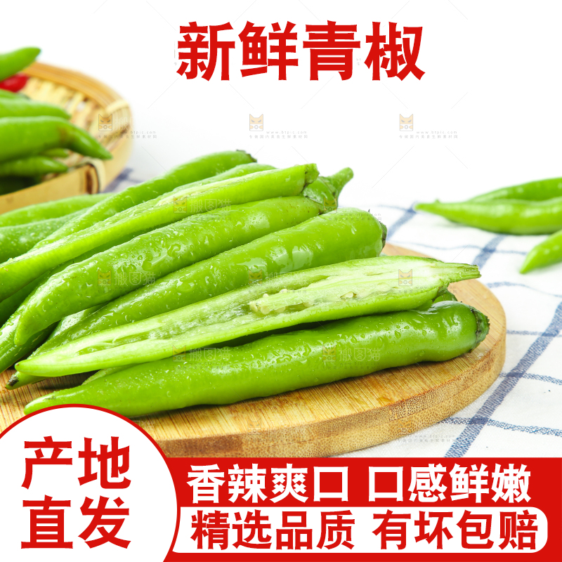格子底上放着青杭椒