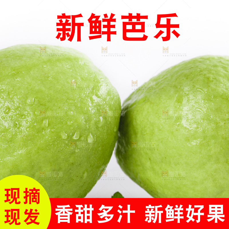 白底上放着白心芭乐