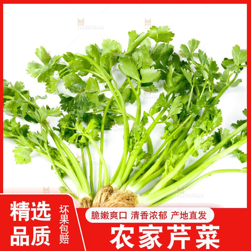 白底上放着芹菜