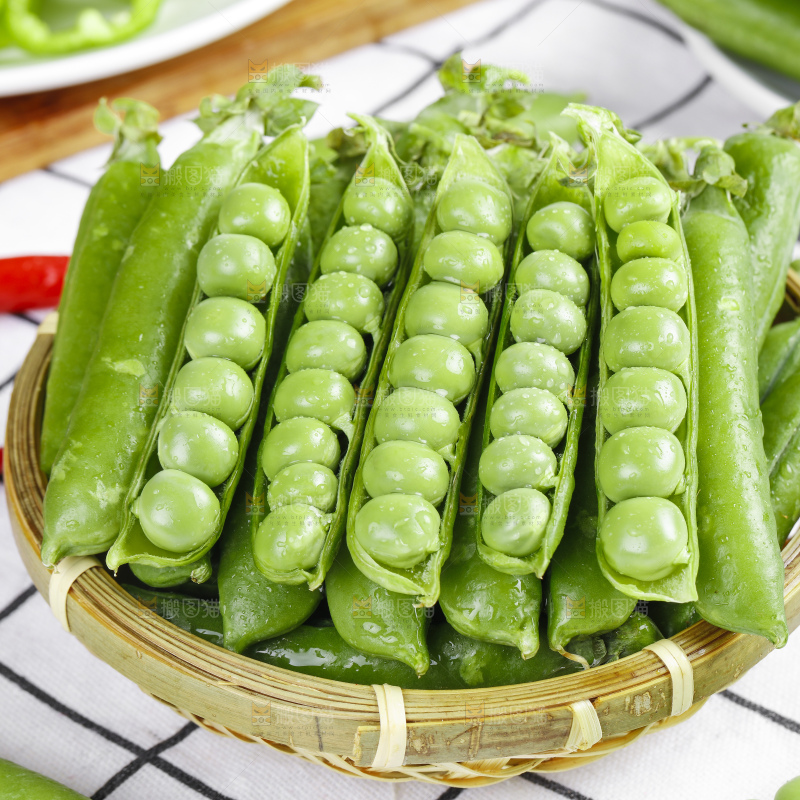 格子底上的青豌豆