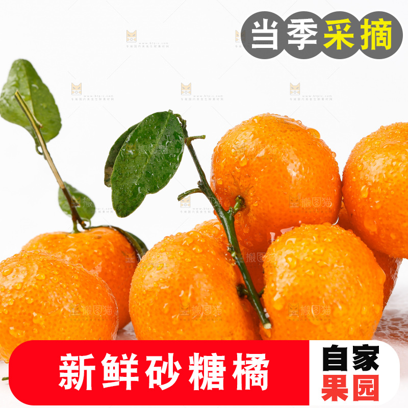 白底上放着砂糖橘