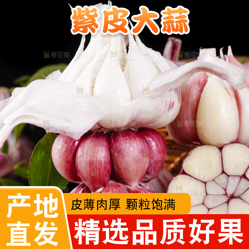 石板上放着云南新鲜紫皮大蒜