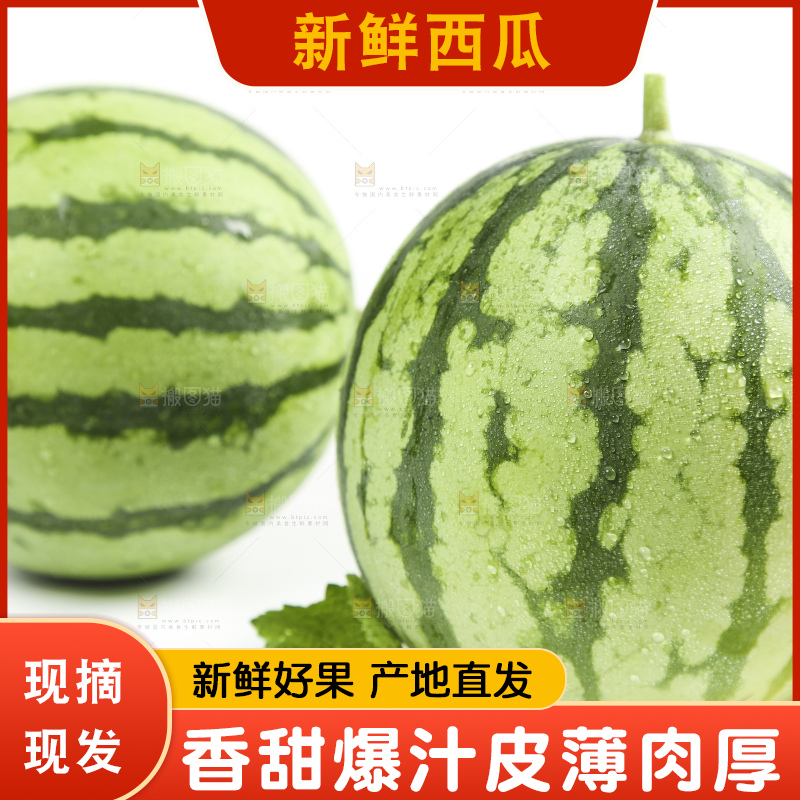 白底上放着新鲜西瓜