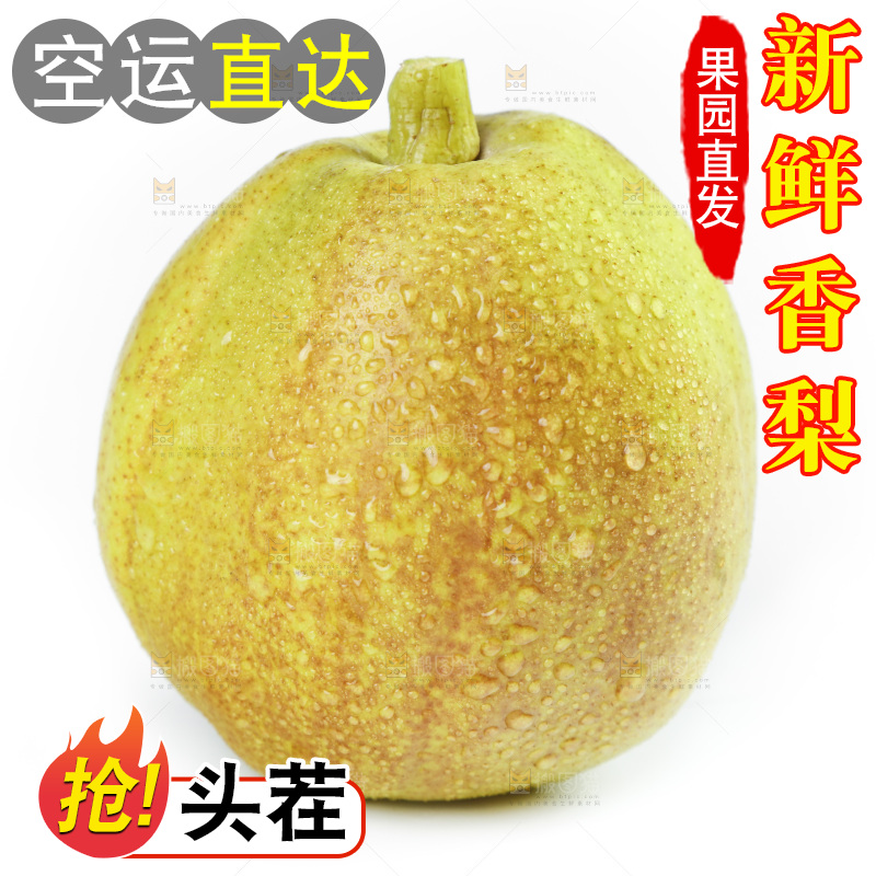 新鲜香梨放在白底上