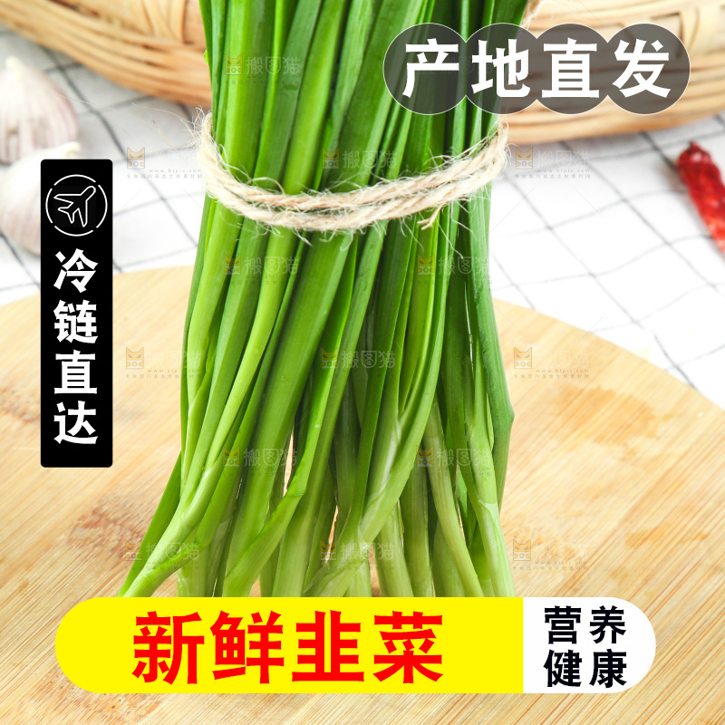 格子底上的鲜嫩韭菜