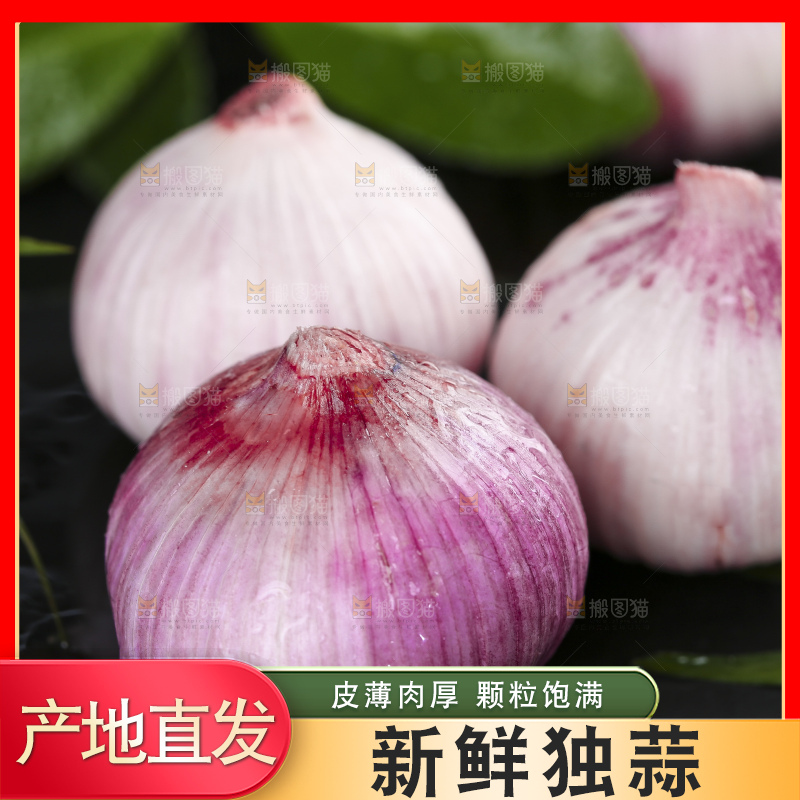 黑底上放着独蒜头