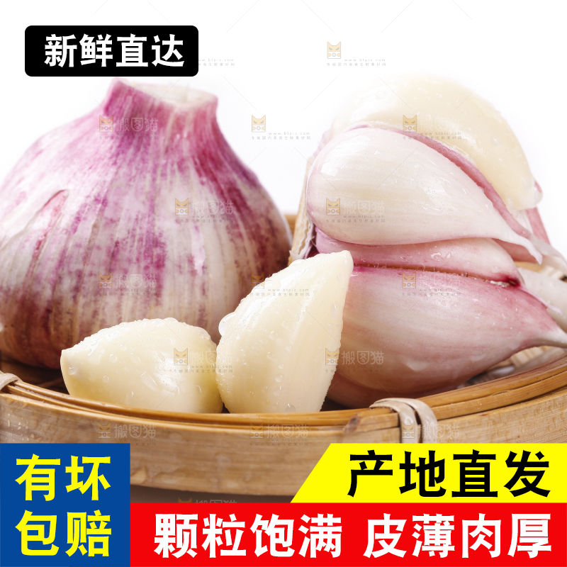 一筐云南新鲜紫皮大蒜放在白底上