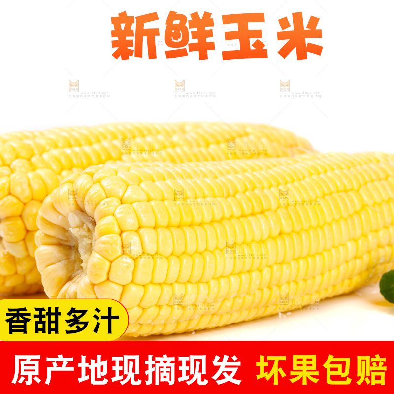 白底上放着玉米