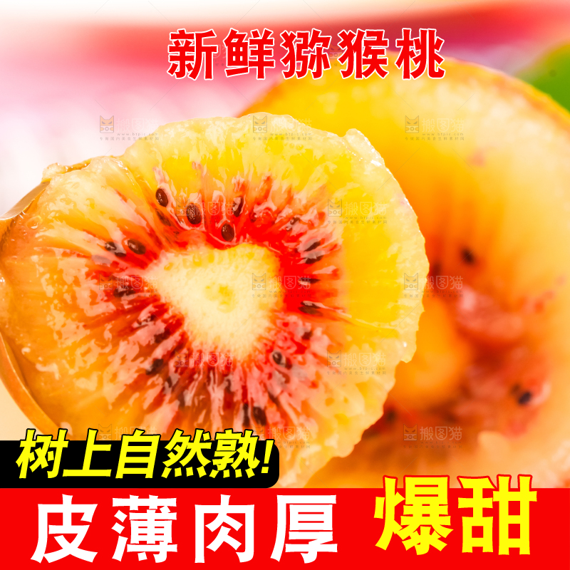 勺子里舀着四川红心猕猴桃的果肉