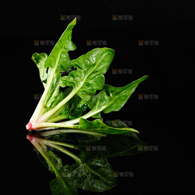 黑底上的菠菜