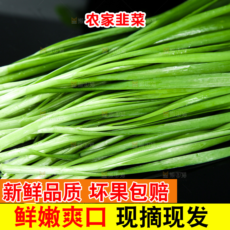 黑底上堆放着韭菜