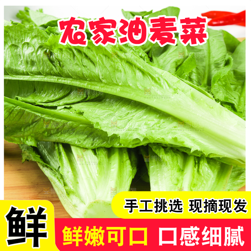 木板上的嫩油麦菜