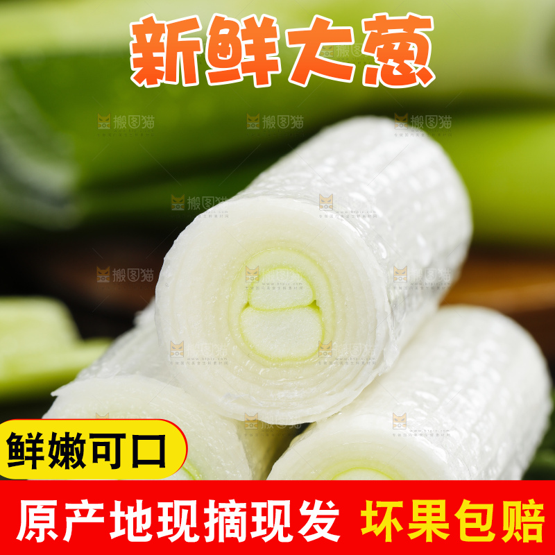 石板上的山东大葱
