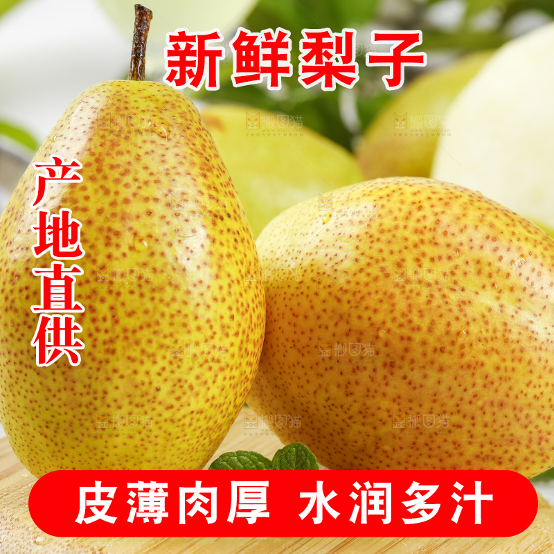 木底上放着新鲜红香酥梨