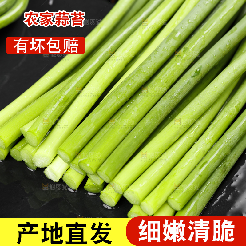 黑底上放着新鲜蒜苔