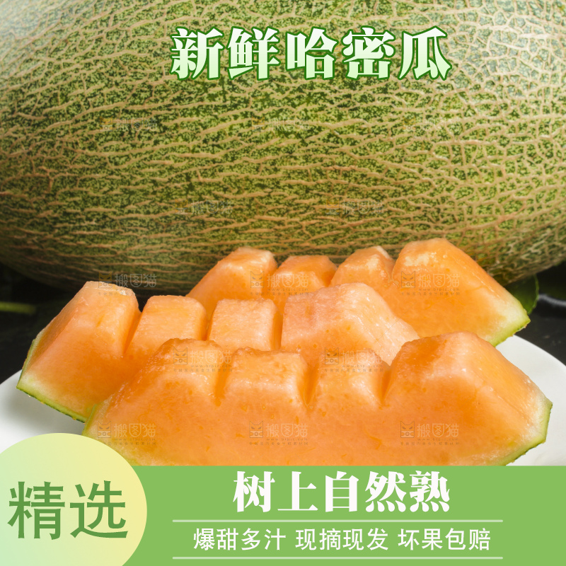 黑底上放着切开的西州蜜25号