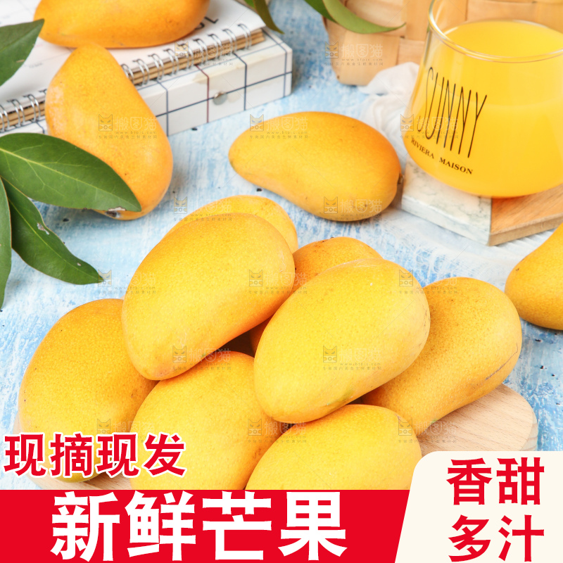 蓝底上的新鲜小台芒