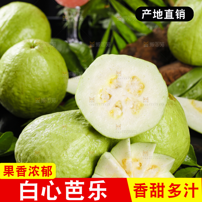 一堆新鲜的广西白心芭乐