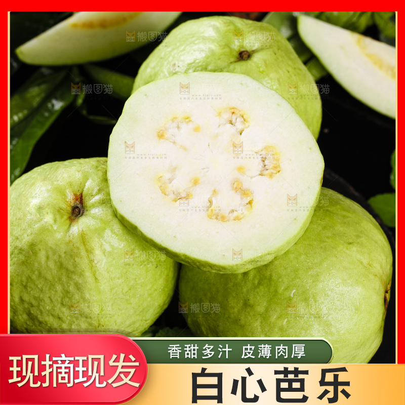 一堆新鲜的广西白心芭乐