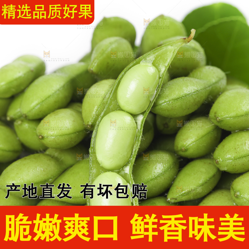 白底上放着四川新鲜毛豆
