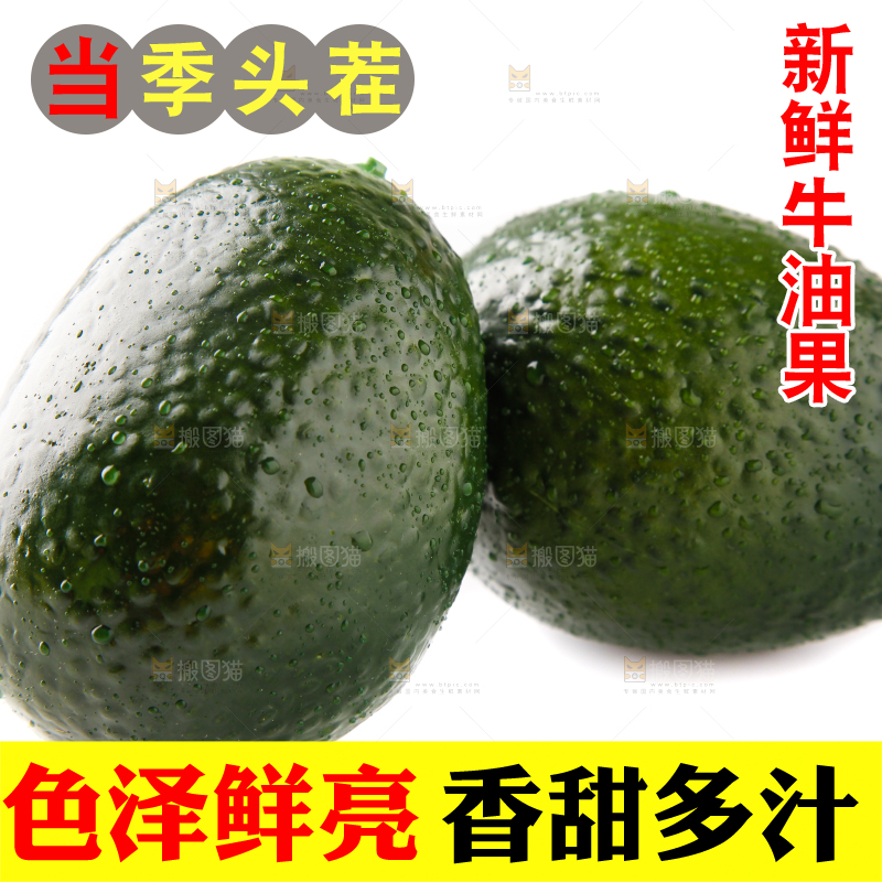 白底上的牛油果
