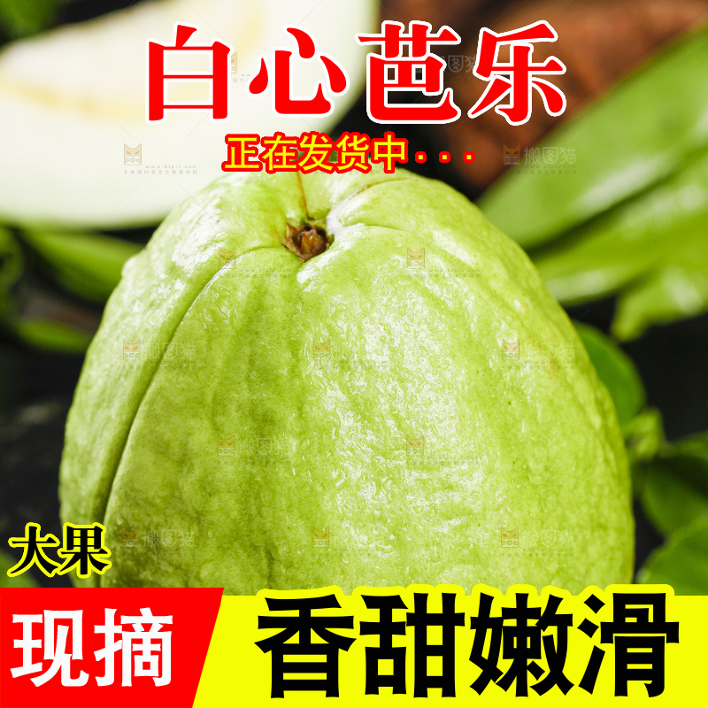 黑石底上放着广西白心芭乐