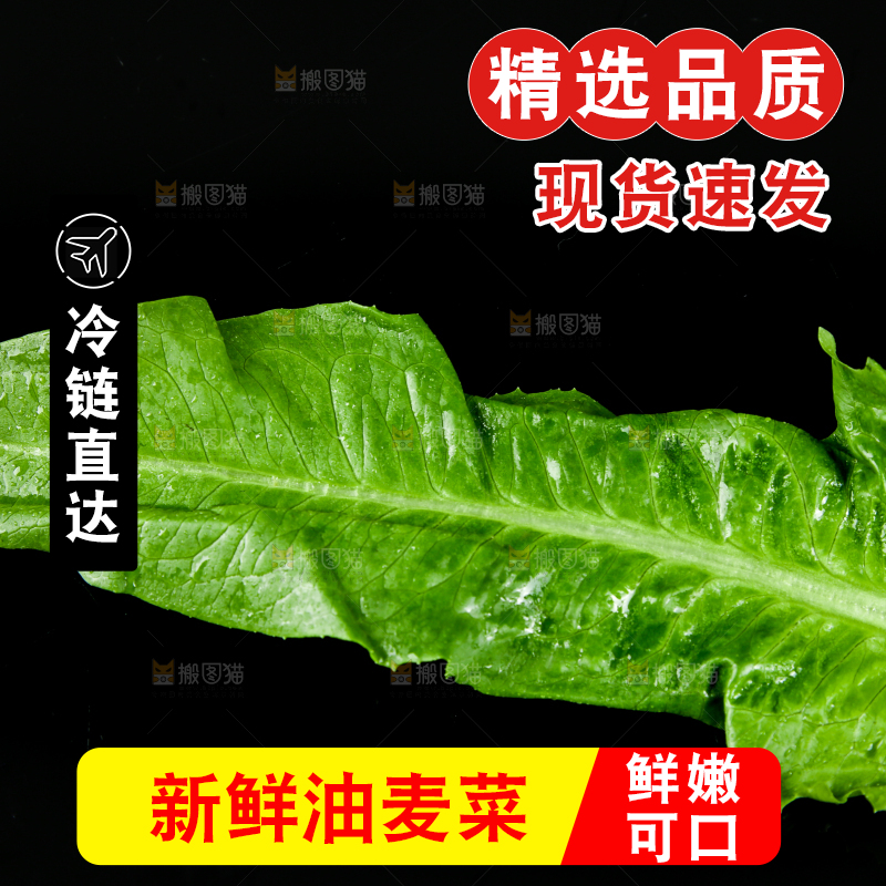 黑底上的油麦菜