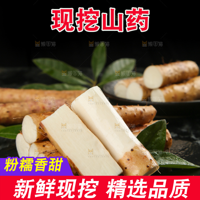 深底上的小白嘴山药