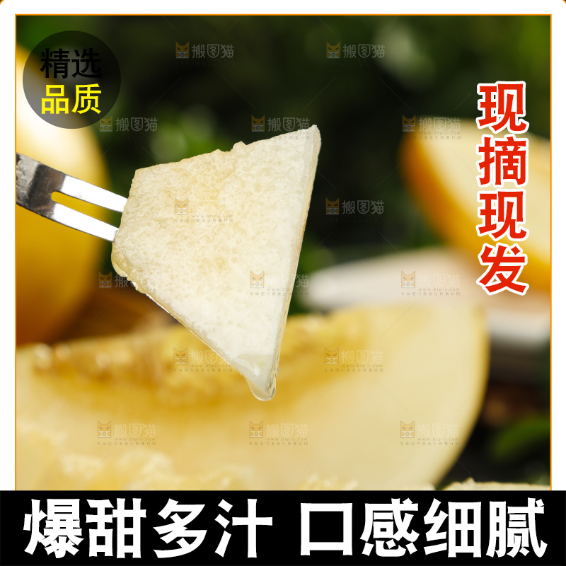 叉子叉着一块黄河蜜瓜果肉