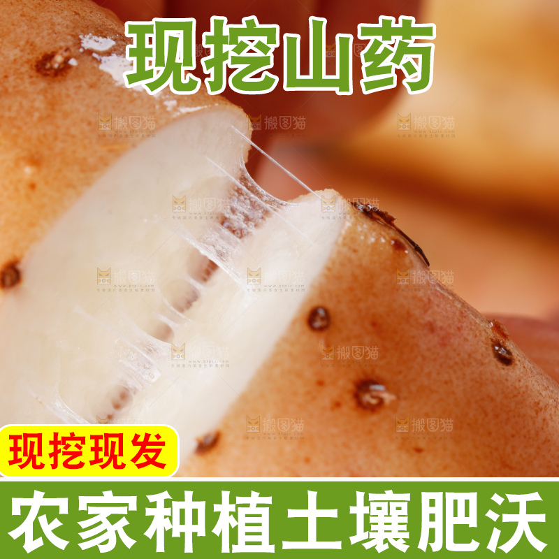 手里拿着小白嘴山药