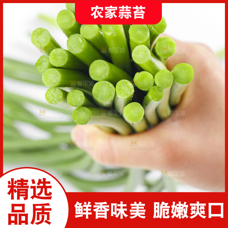手里拿着鲜蒜苔