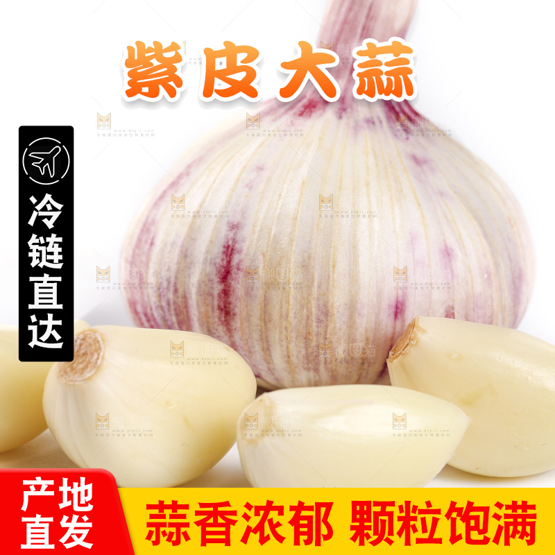 白底上放着新鲜紫皮大蒜头